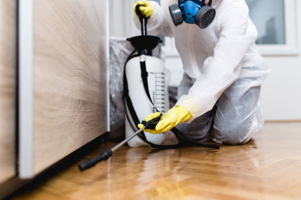 Best Wasp Removal Services  in Home Garden, CA