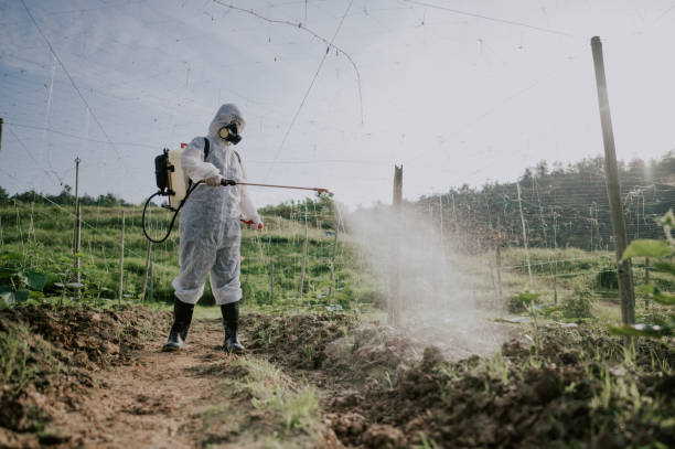 Best Best Pest Control Companies  in Home Garden, CA