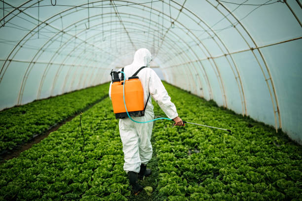 Best Pest Control Near Me  in Home Garden, CA
