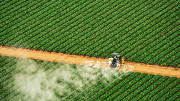 Best Pest Control for Homes  in Home Garden, CA
