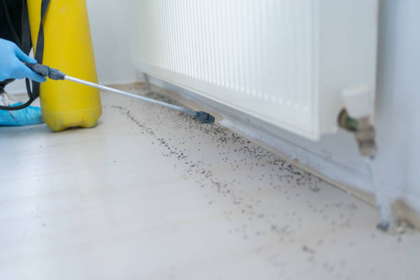 Trusted Home Garden, CA Pest Control Experts