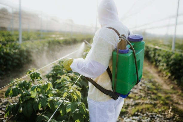 Best Affordable Pest Control Services  in Home Garden, CA